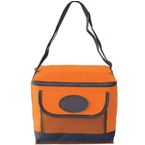 Icool 6 Pack Cooler Bag - Orange