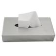 Matt Stainless Steel Wall Mounted Tissue Box Cover Slim (5X22Cm)