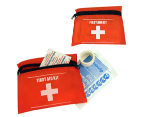 Emergency First Aid Kit In Red And White Zip Up Bag (10.5X13