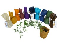 My Tree Starter Packs (Bag) Small: 100*100*170mm - Min Order: 25