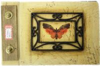 Photo Album - Butterfly 23.5x15cm