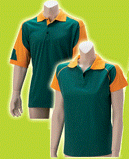 Premium Rugby Supporter Green & Gold