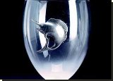 Sailfish Martini Glass - 19CL - African Theme