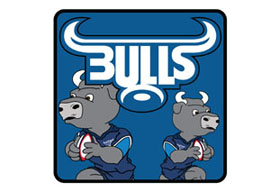 Blue Bulls Coasters - 4 in a Pack  Rugby Coasters - Min order 50