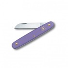 Victorinox Floral Kn Violet Blist Featuring Durable Scratch Resi