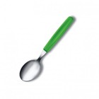 Victorinox Table Spoon Green The Stainless Steel And Dishwasher-