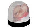 Picture Snow Globe in Gift Box