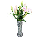 Flower Vase - Black/White