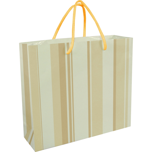 Darby Paper Gift Bag. EACH (H)230 (W)260 mm