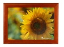 Burgandy Wooden Photo Frame with Perspex - 4 Windows (12 * 16 in