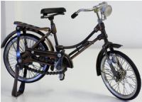 Bicycle Coll - Cruiser Female 32x15.5cm