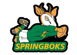 Springbok Mascot Adult Rugby Keyrings - Min order 50 units.