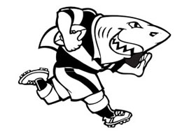 Sharks Magnet Small Rugby Keyrings - Min order 50 units.