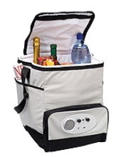Cooler bag with radio