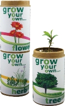 Grow your own herb - organic herb seeds in recycled container.