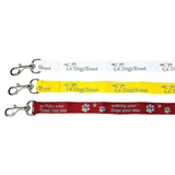 Dog leash  - Available in many colors