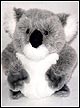 Koala Bear 35cm - Soft, Cuddly Teddy Bear