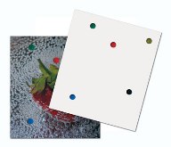 One Size Magnet Board Incl Pencup & 5 Magnets - Avail In: White