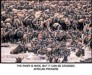 Wildebeest migration with motivational quote