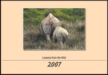 Wildlife photographic corporate Calendar with motivational quotes