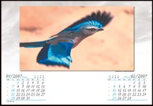 Page layout showing date pad and a Lilac Breasted Roller on promotional calendar.