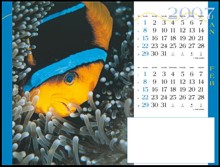 Page layout showing date pad and Clown Fish