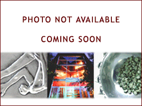 Carrol Boyes Drink'S Tray -2D Woman -2D Unboxed Carrol Boyes Drink'S Tray -2D Woman -2D Unboxed