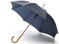 Booster Auto Umbrella-Black