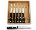 6 PIECE STEAK KNIFE SET