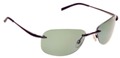 Bolle Sin City Shiny Gun Metal Pol Axis Sunglasses