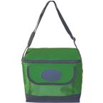 Icool 6 Pack Cooler Bag - Green