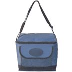 Icool 6 Pack Cooler Bag - Navy