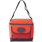 Icool 6 Pack Cooler Bag - Red