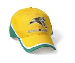 Bafana Bafana Cap