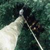 Canopy Tours Canopy Tours
