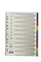 Platinum Pvc Divider 10 Tab Single - Min orders apply, please co