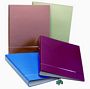 Ringbinder PP A4 Translucent Blue - Min orders apply, please con