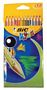 Bic Kids Tropicolor Pencils 24  Ass - Min orders apply, please c