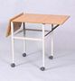 Parrot Ohp Trolley Two Flaps Two Castors - Min orders apply, ple