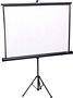 Parrot Projector Screen Tripod 1.25X1.25 - Min orders apply, ple