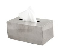 Matt Stainless Steel Wall Mounted Tissue Box Cover (9.5X22Cm)