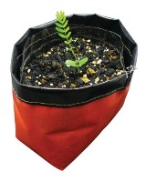 Recycled Drink Bottle Desktop Plant Pot - Full Colour Print Incl