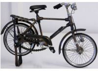 Bicycle Coll - Cruiser Male 32x18.5cm