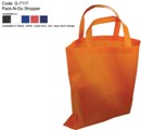 Pack-n-Go Shopper