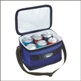 ICEBERG 6 PACK COOLER