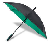 Two Tone Rim Umbrella - Green