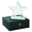 Top Star Trophy