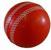 STRESS CRICKET BALL, PU RED