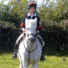 Horse Riding Lessons Horse Riding Lessons