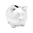Silver coloured piggy bank